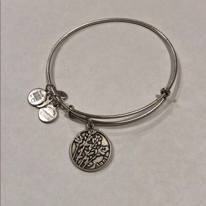 alex and ani charm bracelet